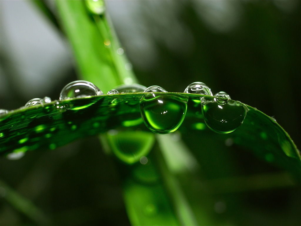 DEEP CRYSTAL GREEN