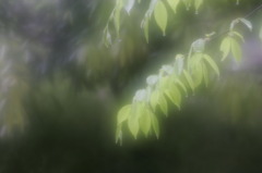 雨の午後