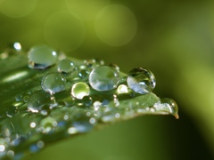 雨上がりの朝