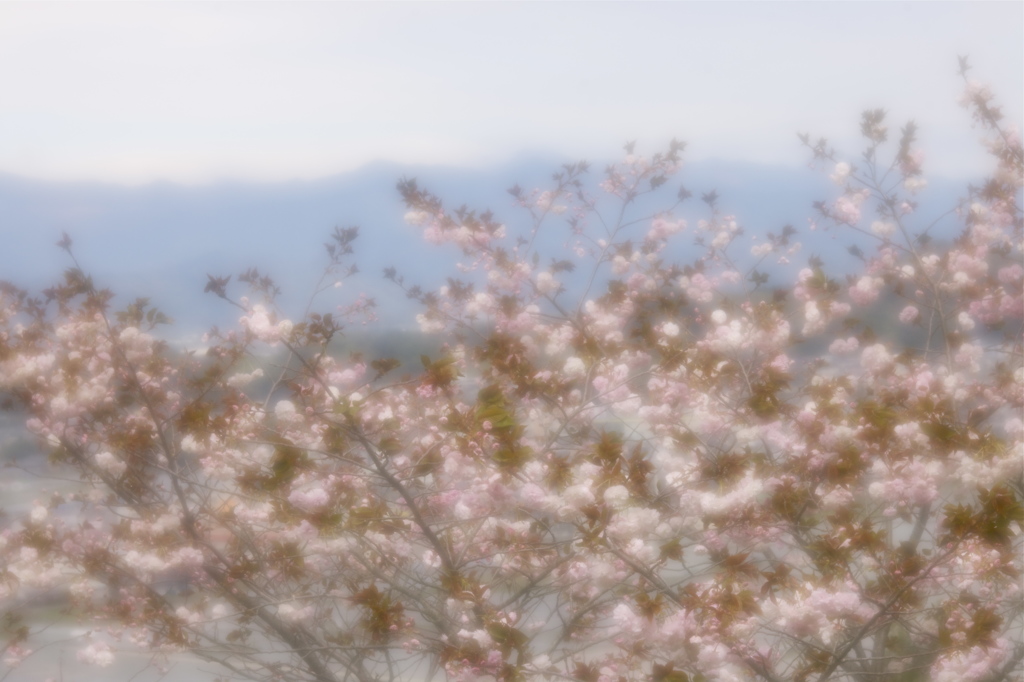 山頂の風