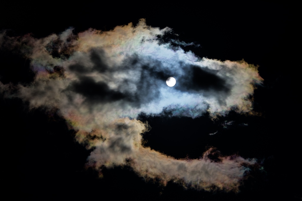 Sky Fish