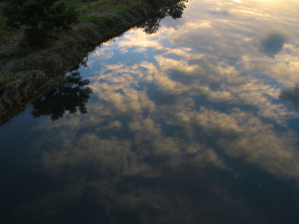 曇りのち秋空