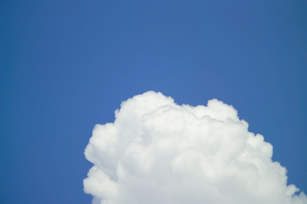 盛夏
