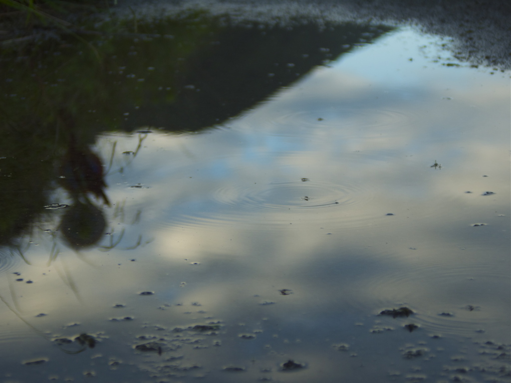 雨上がりの国道55線