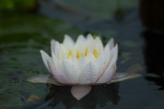 雨でも平気