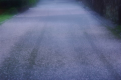 花雨