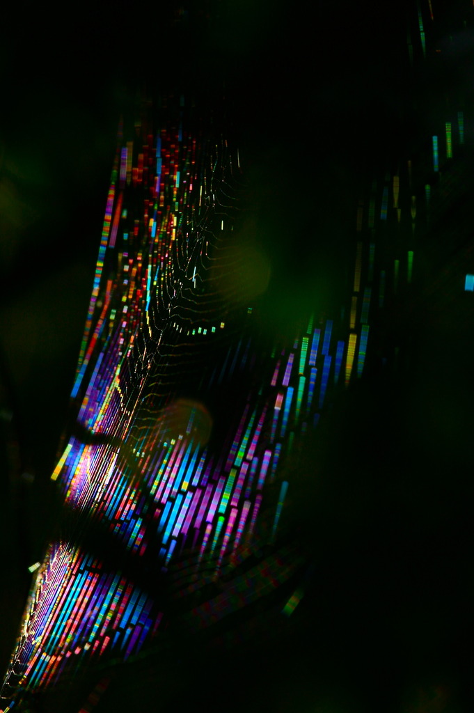 COLORS