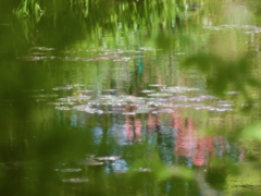 春の池