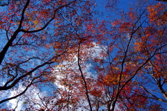 師走の空