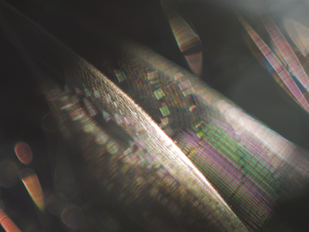 5th Area Autumn Collection 4