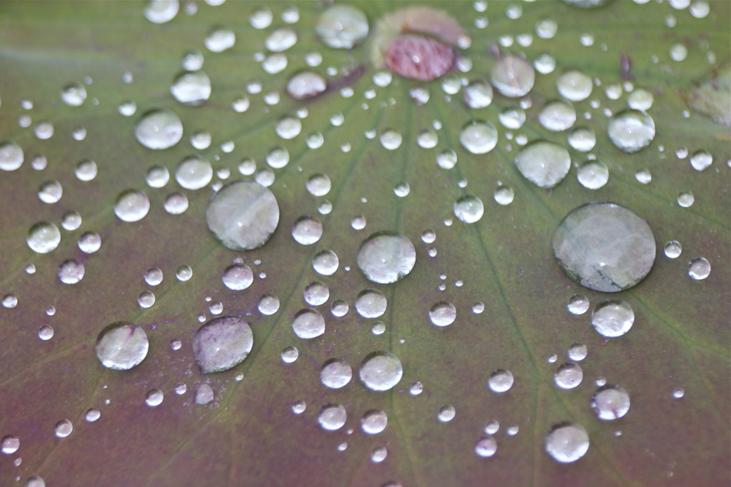 雨の休み時間