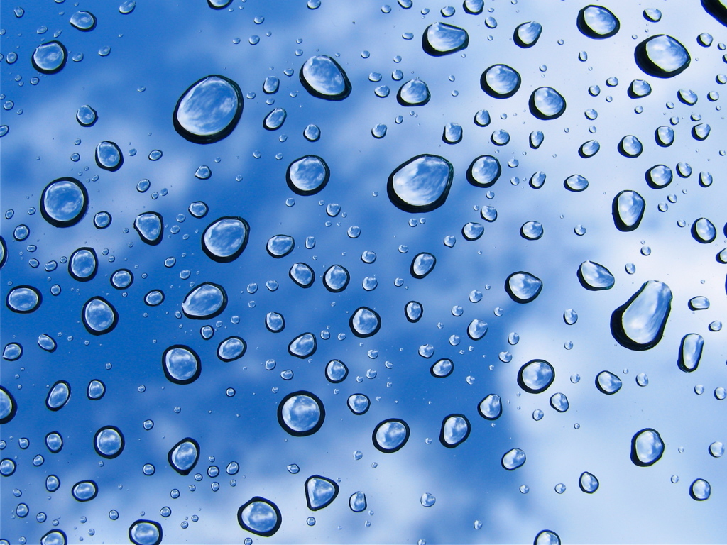 雨上がりの朝