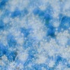 BLUE HEAVEN