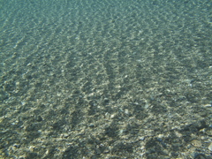 光の波