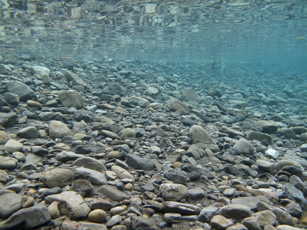 夏の野根川河口４