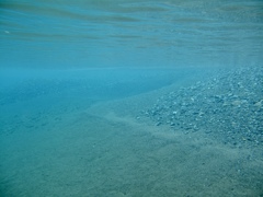夏の野根川河口２