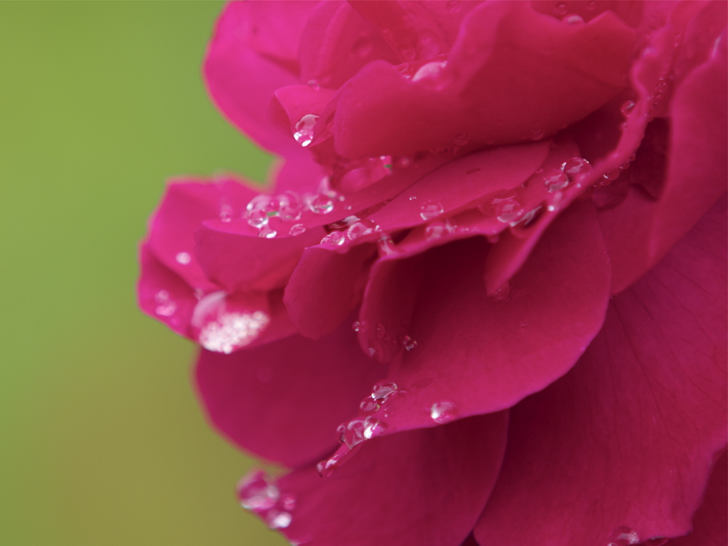 やさしい雨