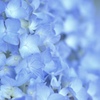 Blue Wall