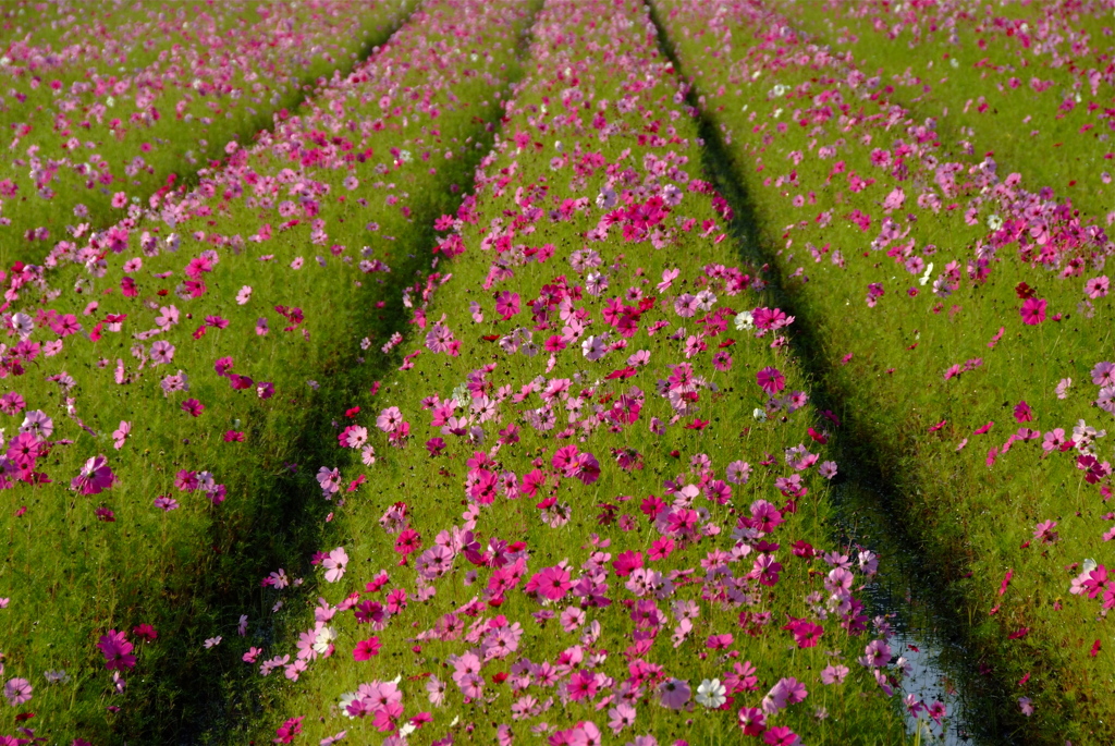 11月のはじまり