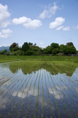田園風景