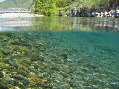 初夏の水面