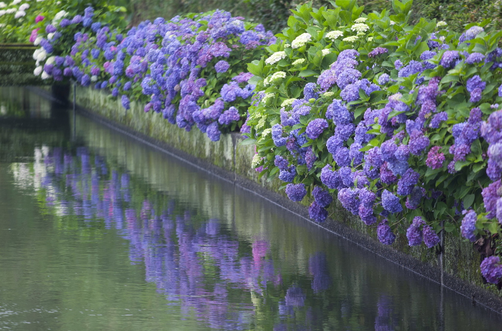 水無月