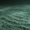 海の時