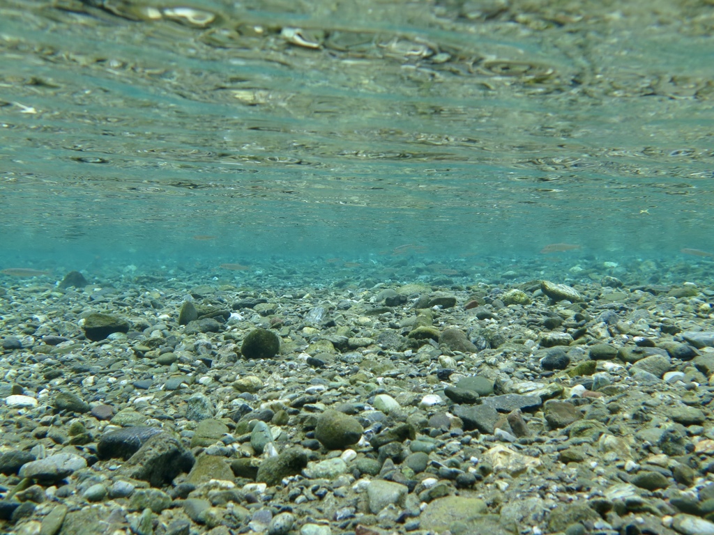 AQUA BLUE
