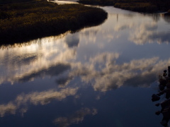 雲も流れる鏡川