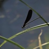 秋の時間　３