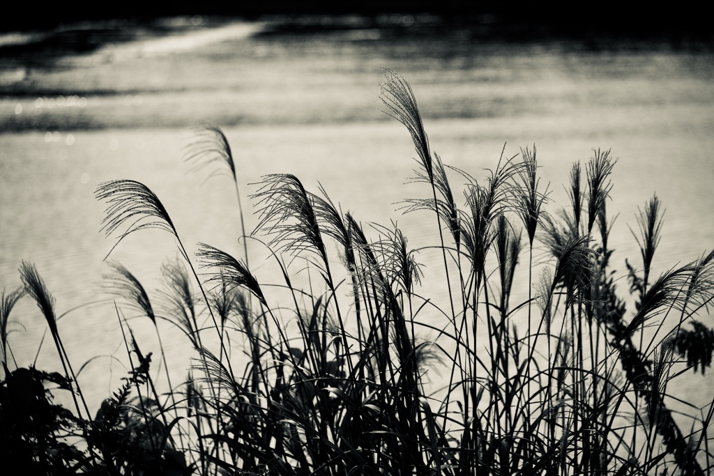 Cloudy River 2