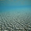 JUNE RIVER BLUE ４