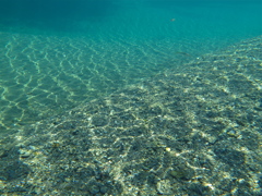 夏の川の光模様