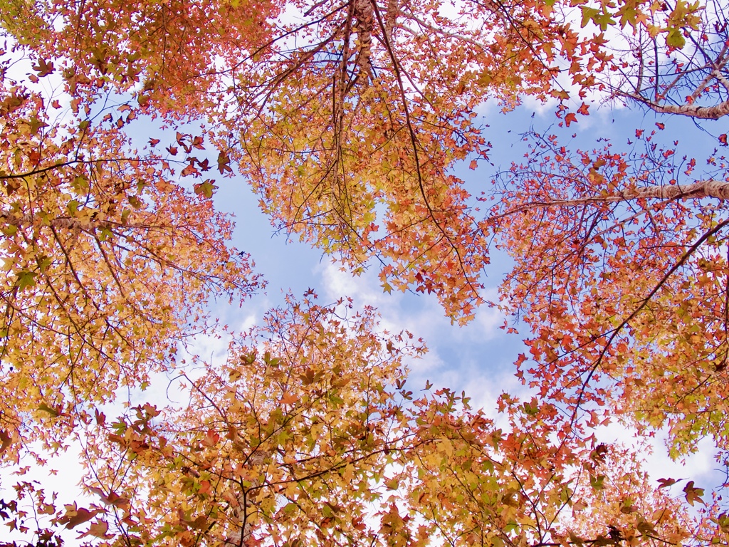 11月の空