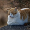 そろそろ春