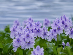 雨のち曇