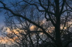 夕闇迫る