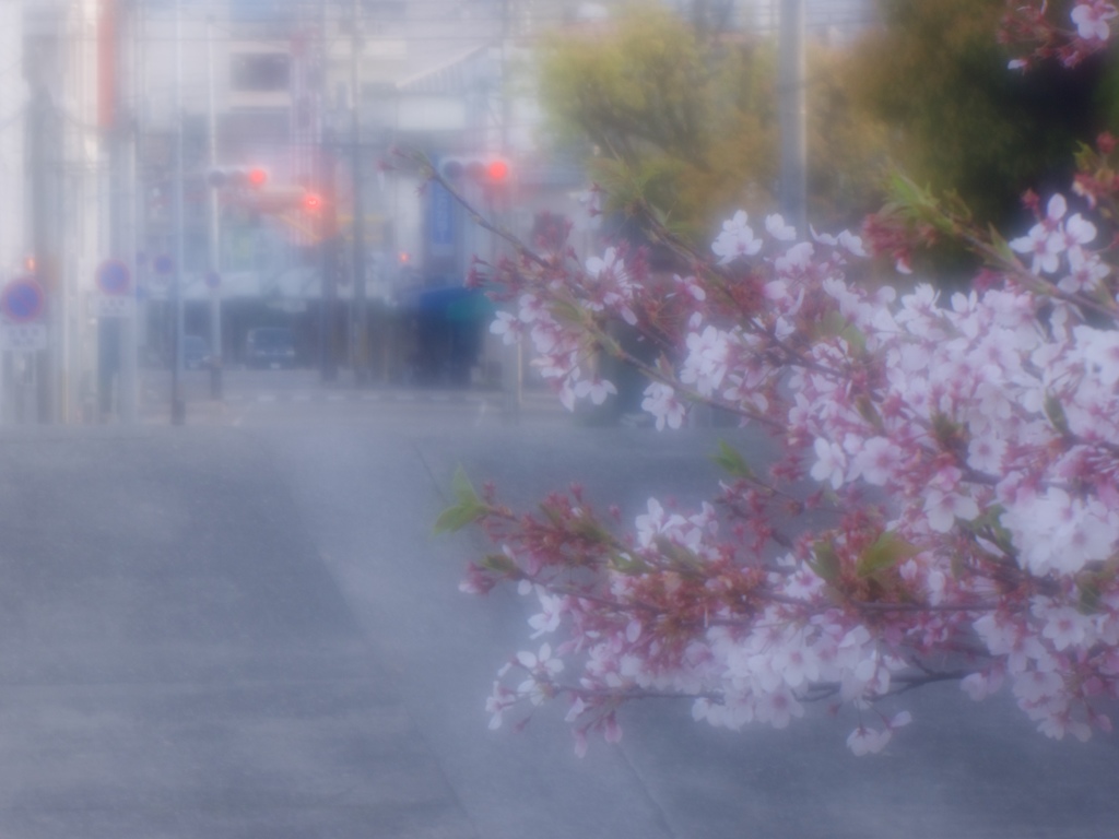春の風情