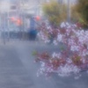 春の風情