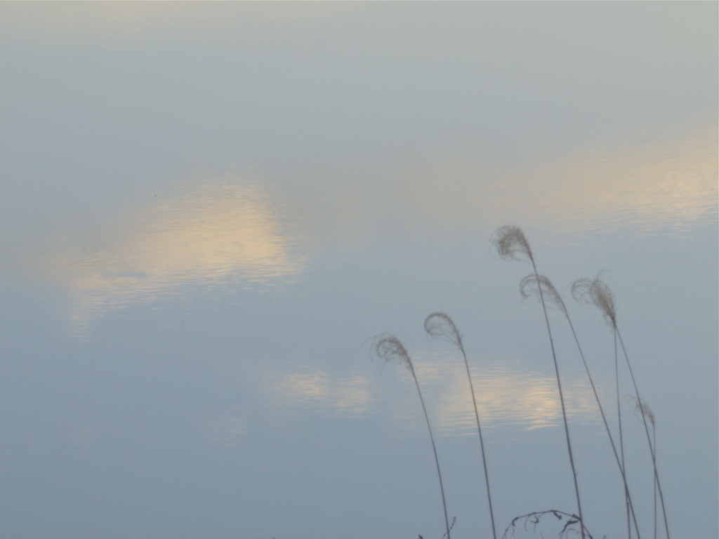 夕空