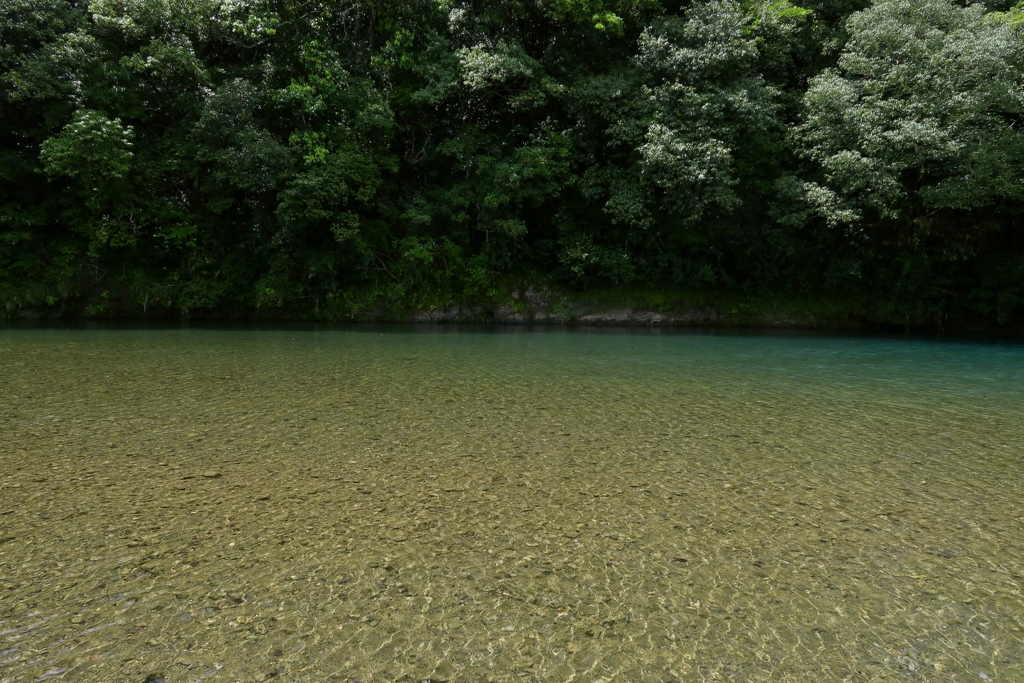 夏の川