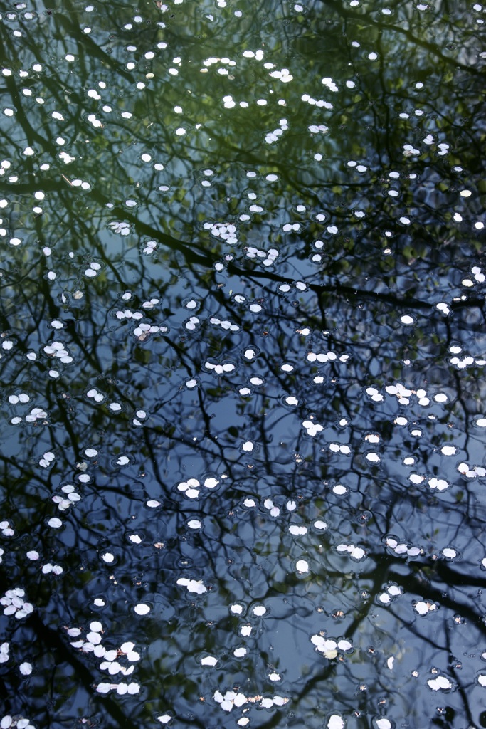 春の時間