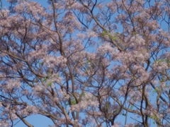 過去への思い