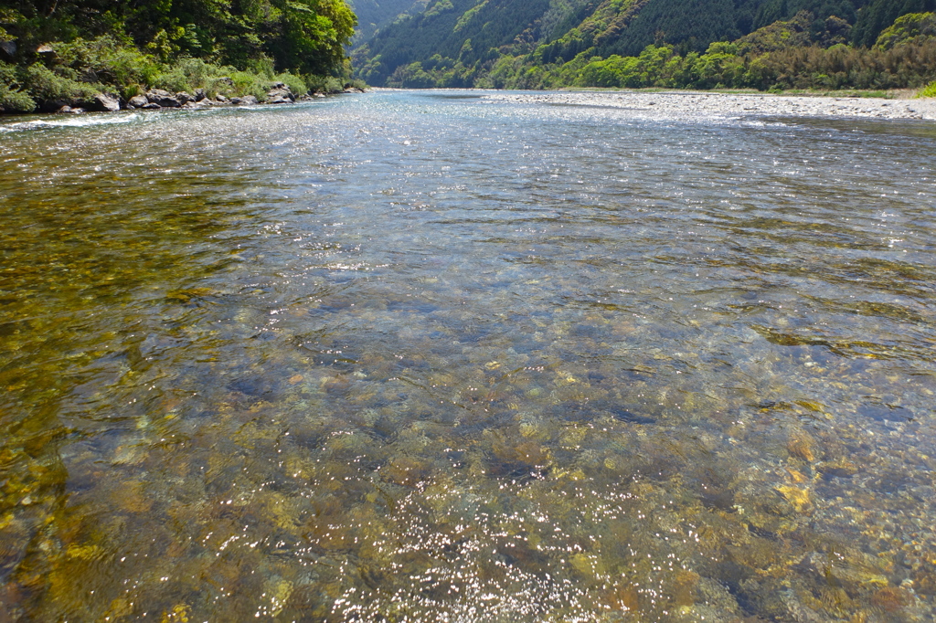 春の川時間