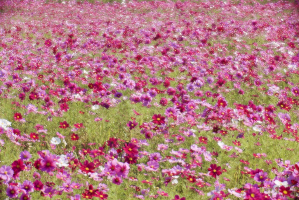 晩秋の風