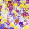 花の宴