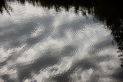 Cloudy River