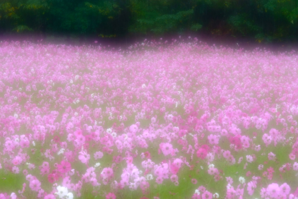 雨の気分