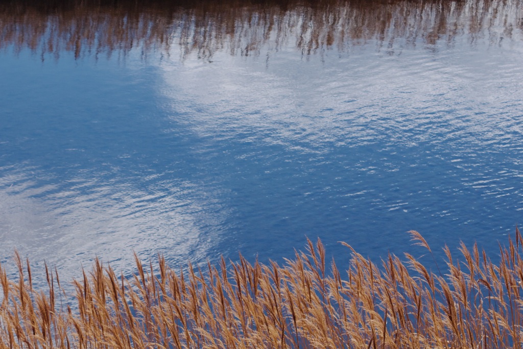春の気配