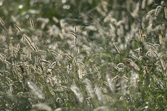 雨のち秋晴れの朝